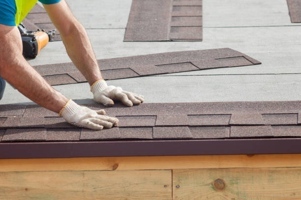 Best Solar Panel Roofing Installation  in Auburn, GA